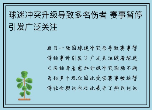 球迷冲突升级导致多名伤者 赛事暂停引发广泛关注